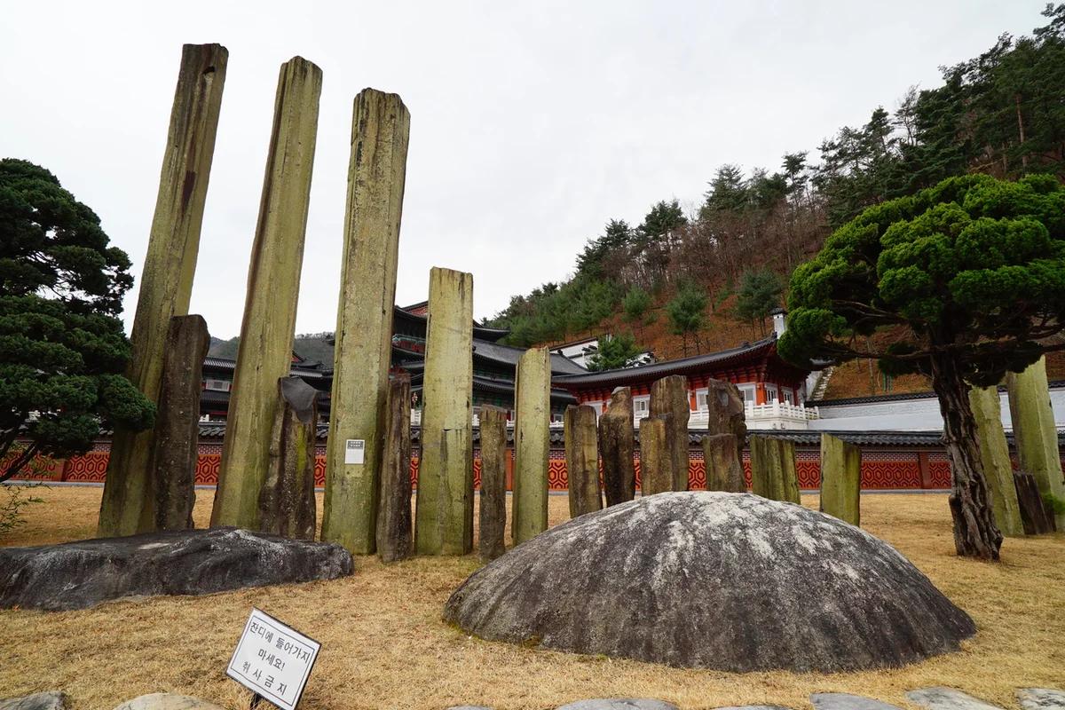 삼척시 게스트하우스 2026 봄 여행! 필수 코스 6곳 완벽 정리