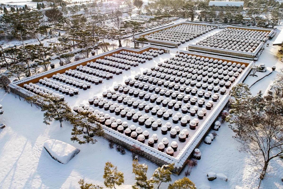 2026 익산시 뚜벅이여행, 봄맞이 추천 코스 BEST 5 — 시티투어로 완전정복해요!