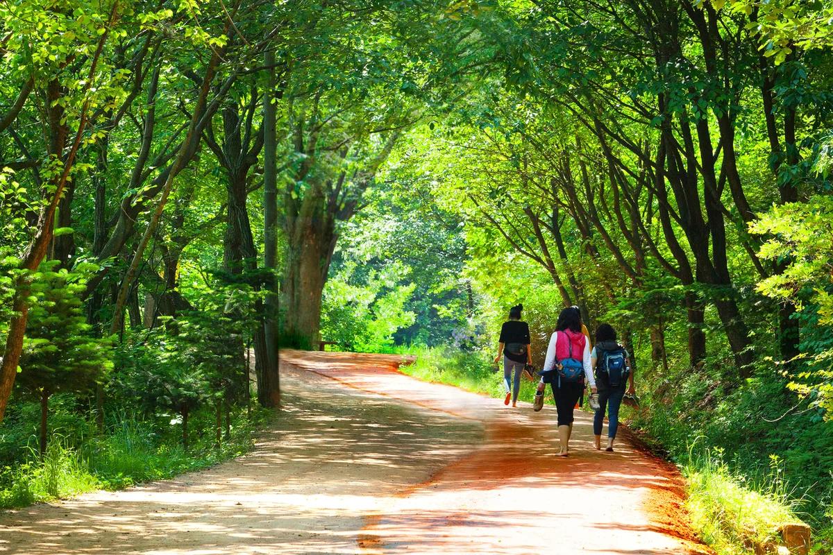 대덕 오션뷰 숙소, 2026년 대청호 뷰 감성 숙소와 함께하는 대덕구 완벽 가이드