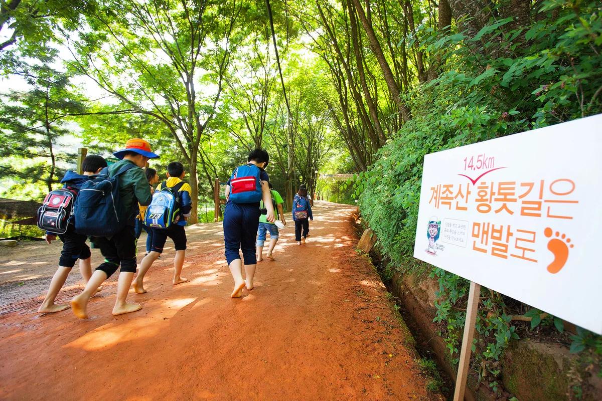 계족산 가족여행, 봄기운 가득한 2026년 추천 명소 5곳