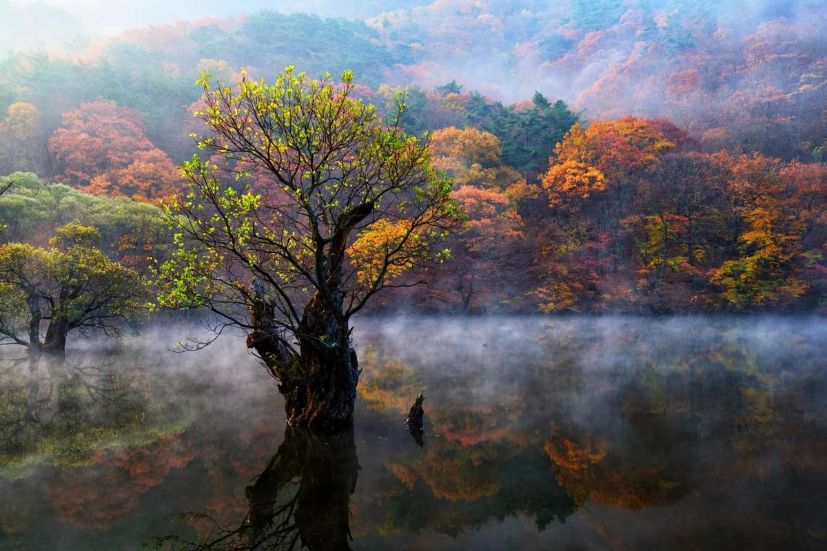 청송 관광지 추천 명소 — 따뜻한 봄날 걷기 좋은 6곳