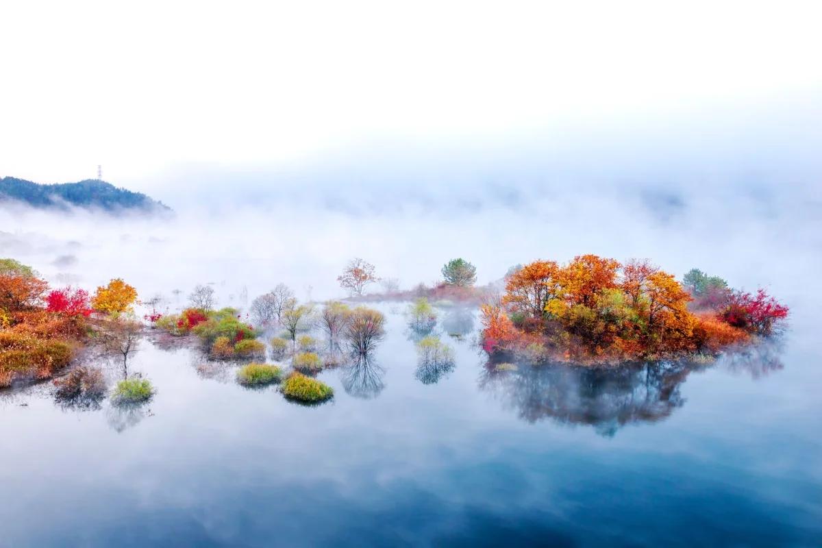 2026 용담 사찰 최신 방문 가이드, 제주의 봄을 만끽하는 7곳