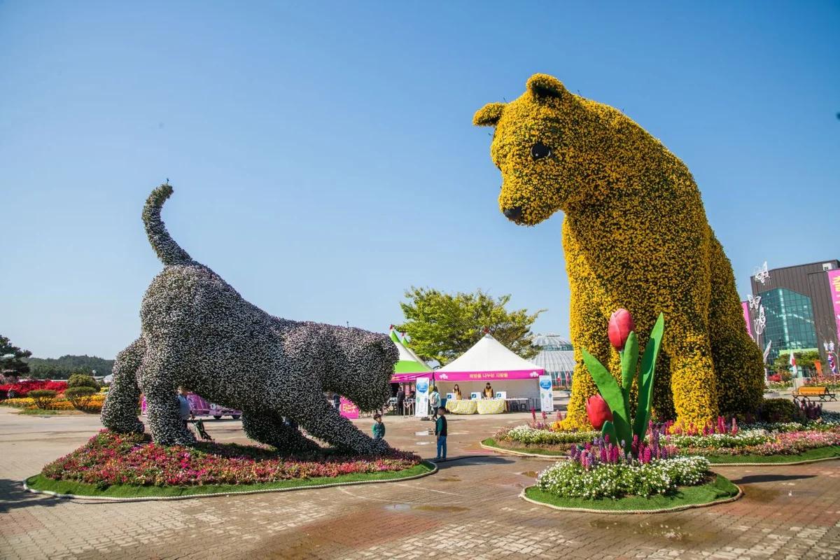 2026 태안군 봄 나들이, 놓치지 말아야 할 봄꽃 명소 BEST 5