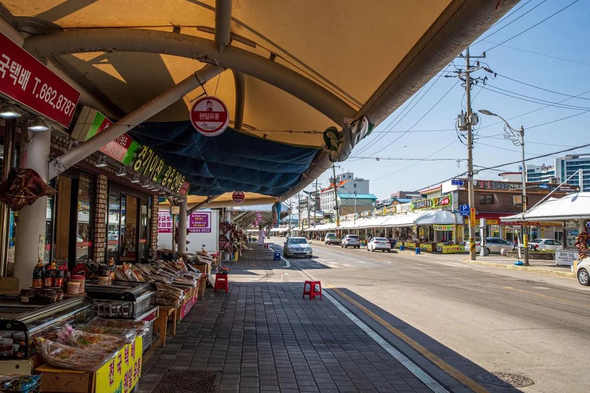 주문진 캠핑장 2026년 봄맞이 추천 5곳, 완벽 가이드로 속 시원하게 파헤쳐 봐요!