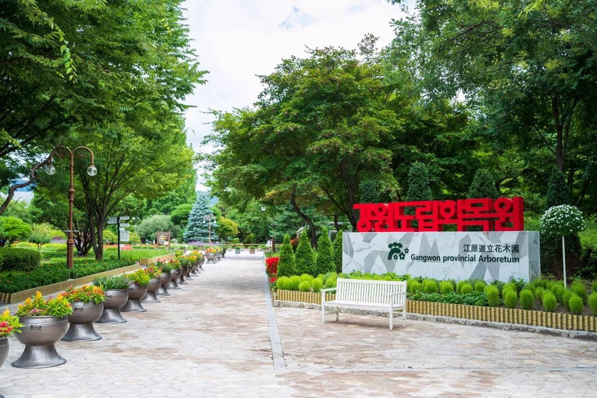 춘천시 아기랑 가볼만한곳 BEST 5 (2026년 최신 정보 포함)