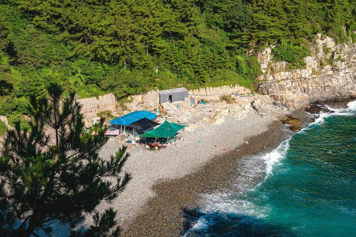 2026 태종대 낚시 완벽 즐기기: 봄 시즌 베스트 장소 5곳 추천