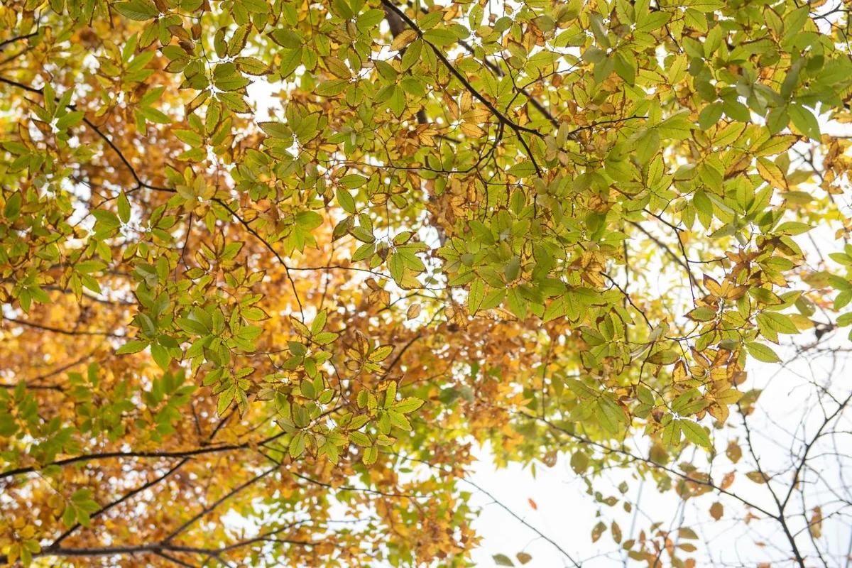 2026 봄, 연제 밥집 주변 놓칠 수 없는 연제구 매력 BEST 6