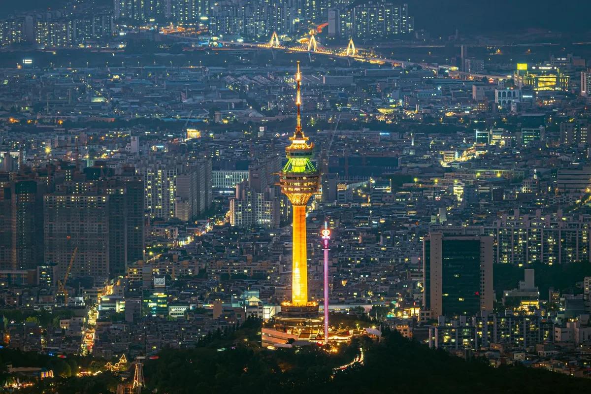 2026 83타워 코스 최신 여행 가이드, 3월의 봄 나들이 명소