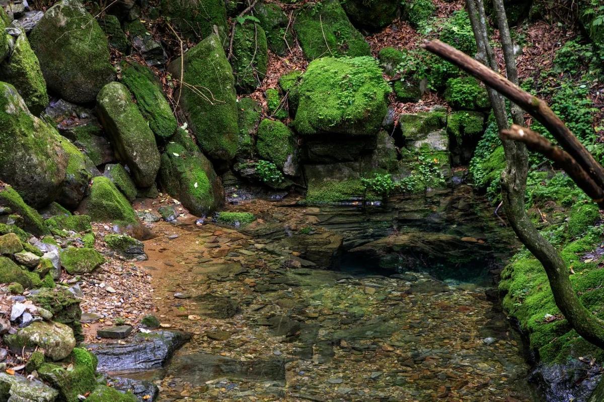 태백시 수목원 2026년 3월 고원 여행 코스, 자생식물원부터 주변 명소 5곳