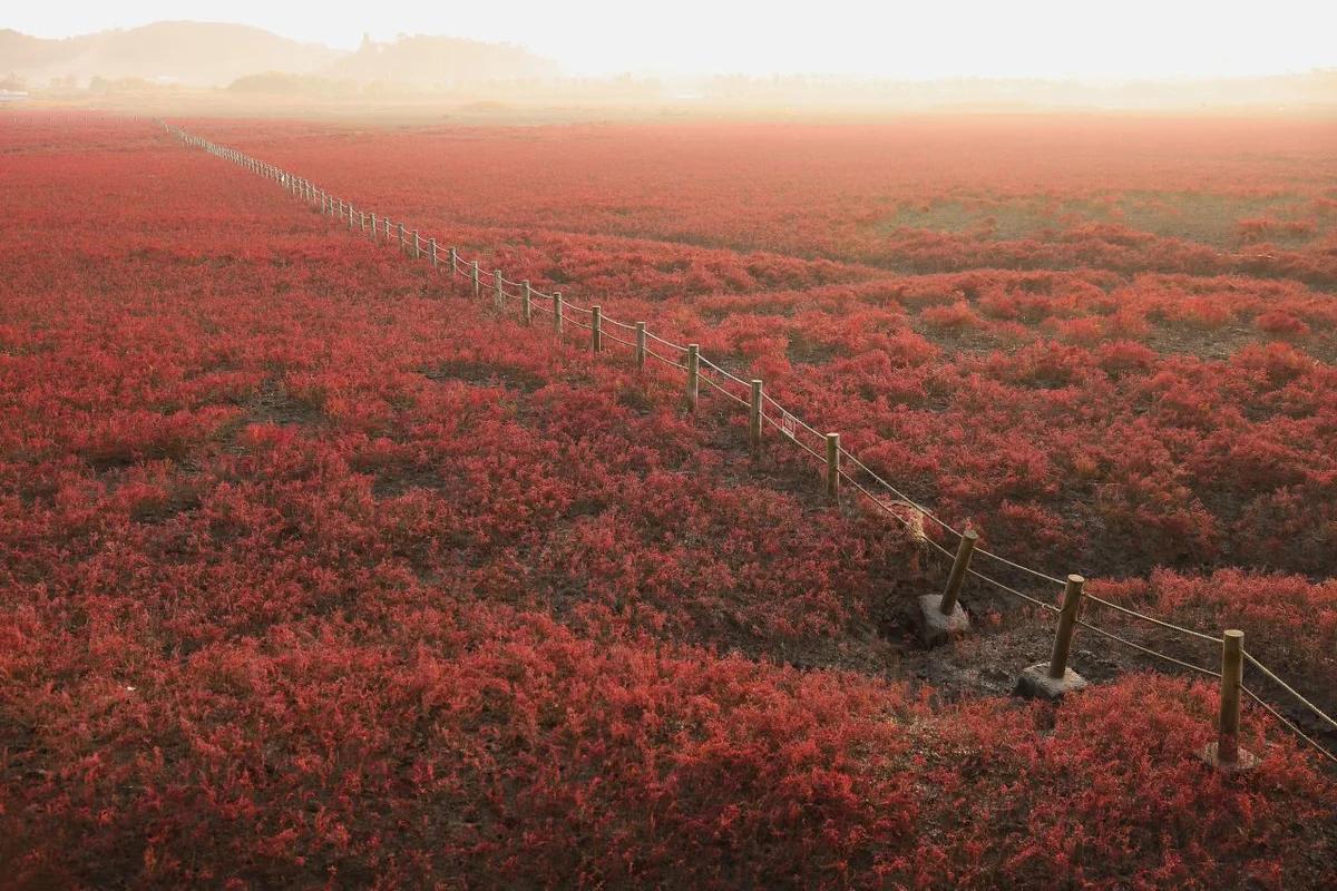 동구 혼행 추천 코스 2026, 나만의 봄날을 위한 5곳