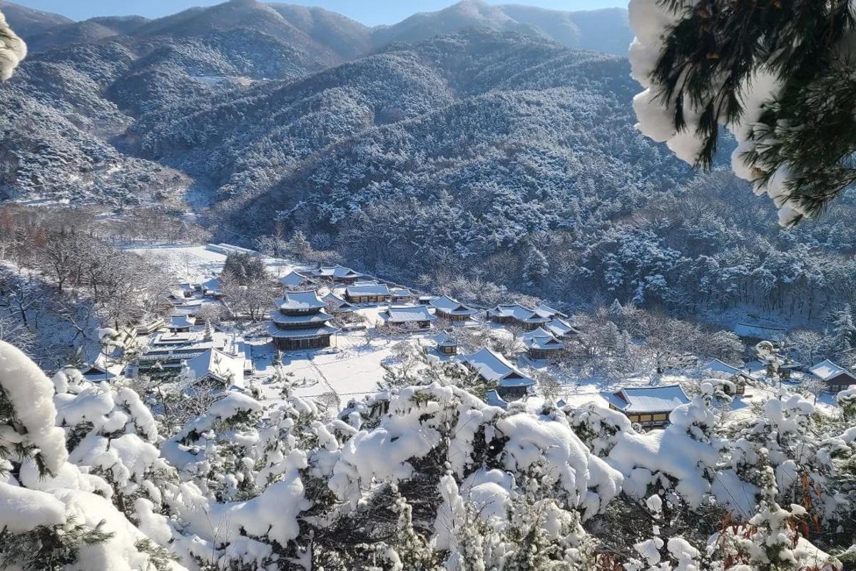 김제시 MTB, 2026년 봄 놓치지 말아야 할 라이딩 코스 BEST 5