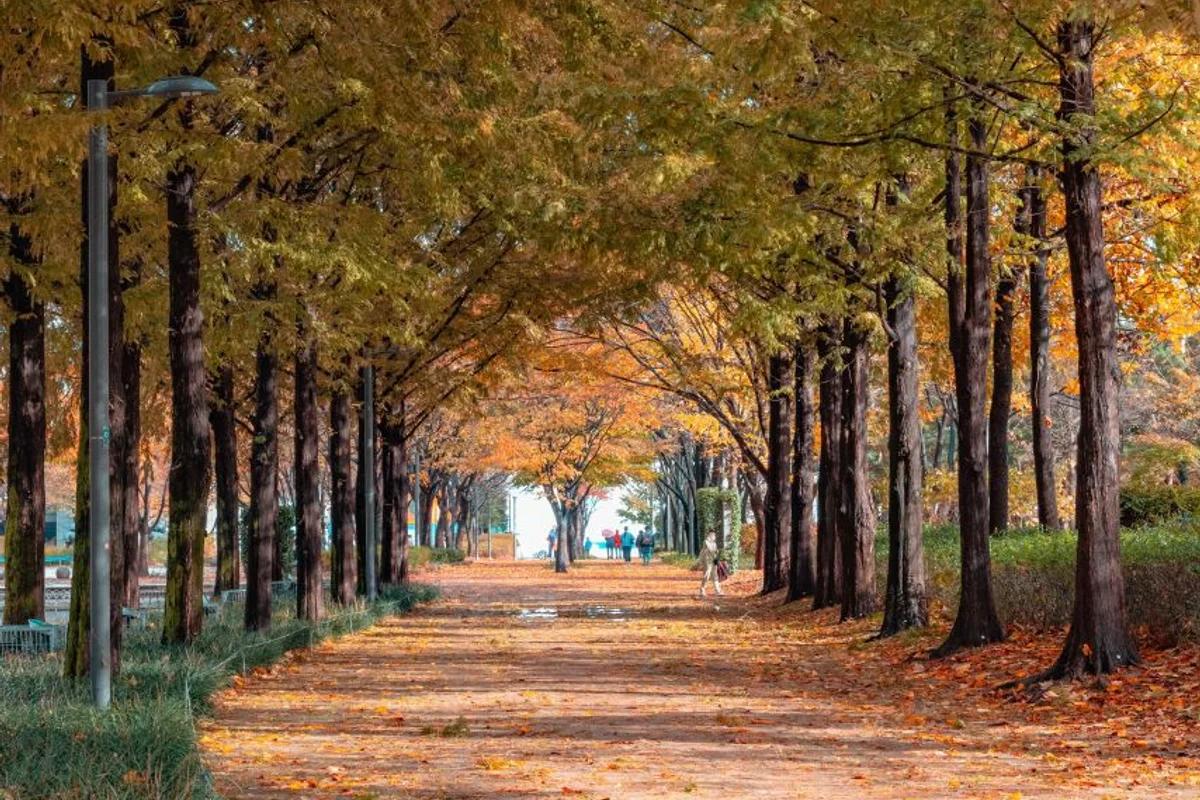 서울숲 당일치기, 2026년 봄 추천 코스 5가지