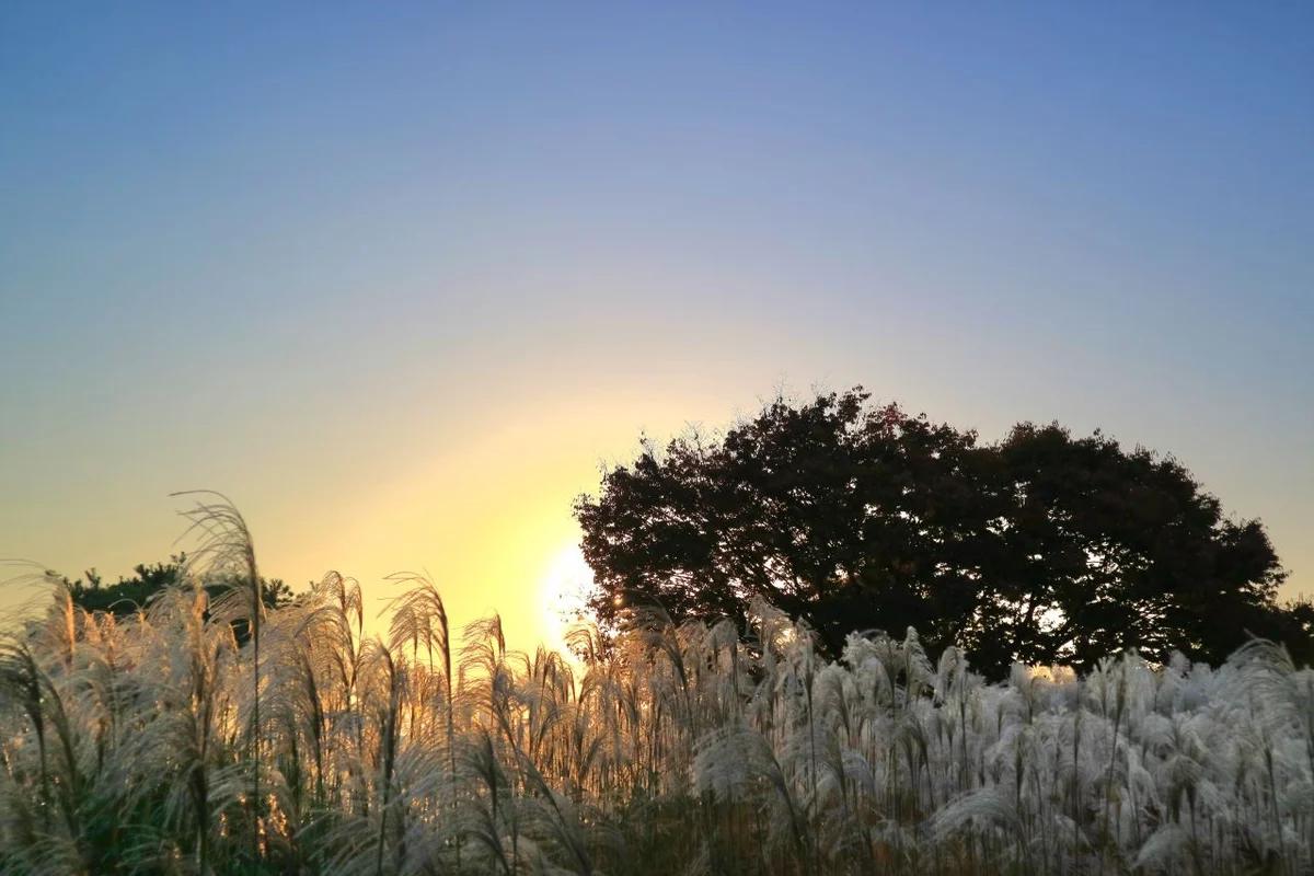 2026년 탑동 여행지 추천, 따스한 봄날 걷기 좋은 명소 BEST 6