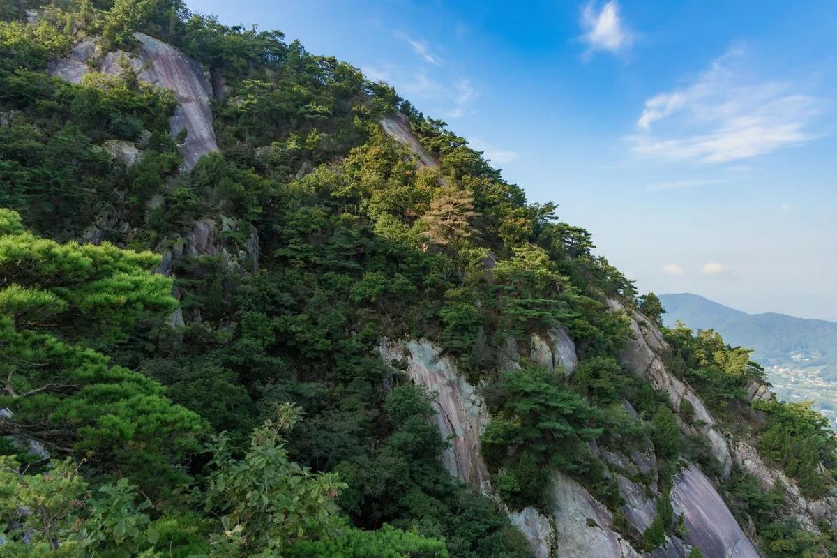 도봉 관광지, 2026년 봄에 꼭 가야 할 추천 명소 5곳