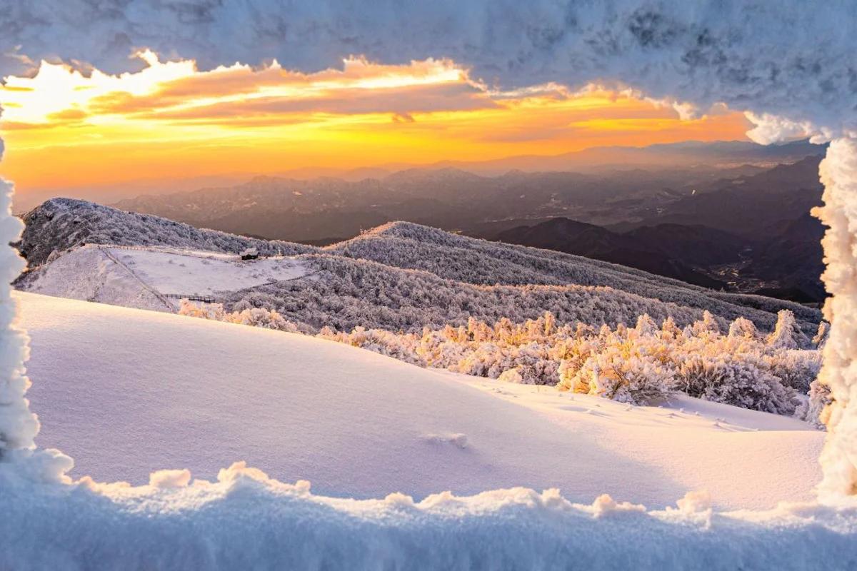 2월 옥천 가볼만한곳, 2026년 겨울 특별한 매력을 만끽하는 여행 가이드
