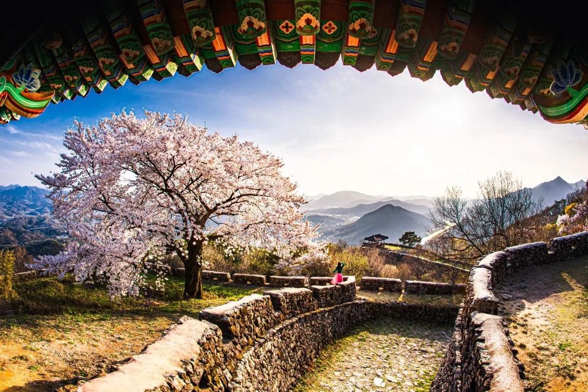 성산 동물원 2026년 봄 여행, 놓칠 수 없는 제주 동물 교감 명소 5곳