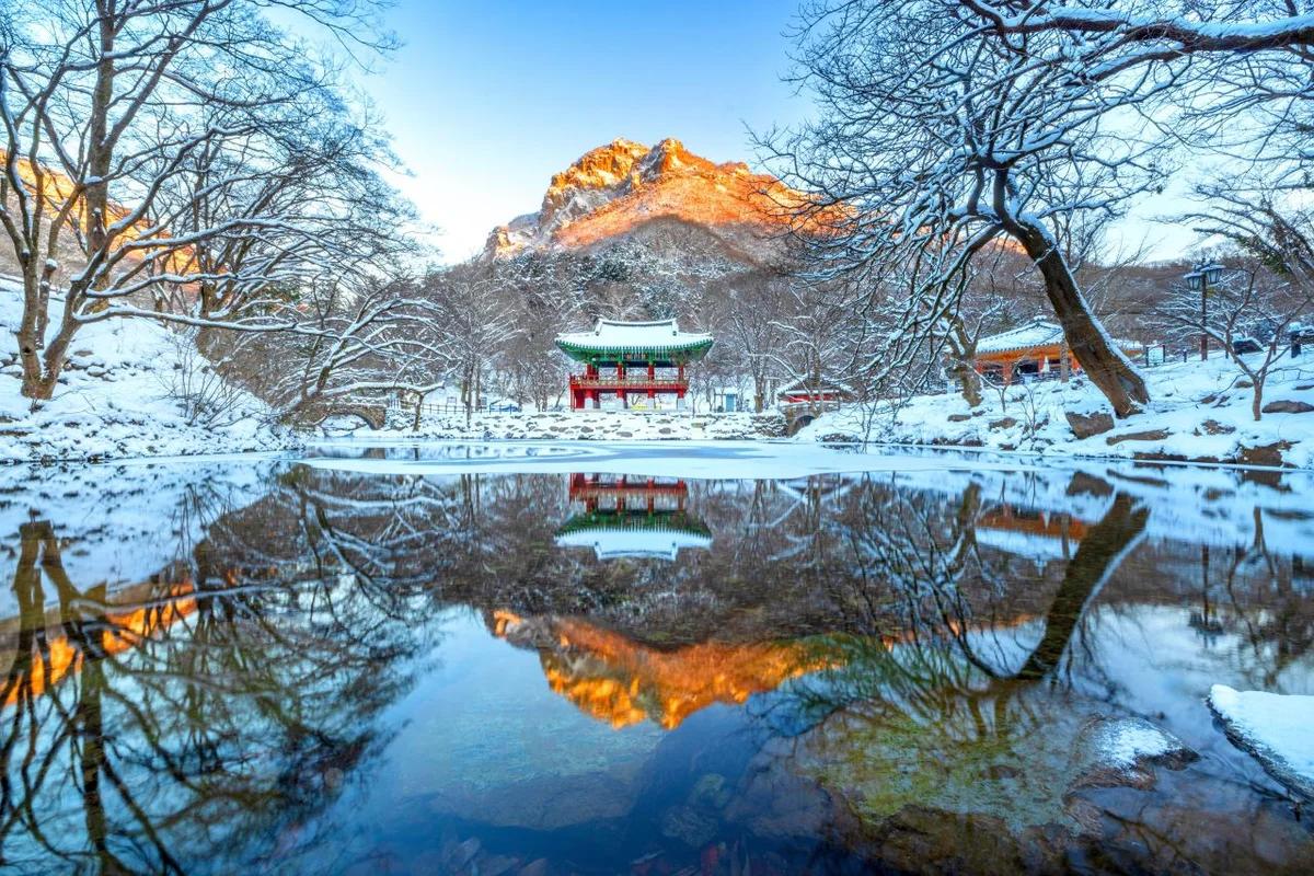 2026 봄, 장성군 관광 지금 가야 할 추천 명소 5곳