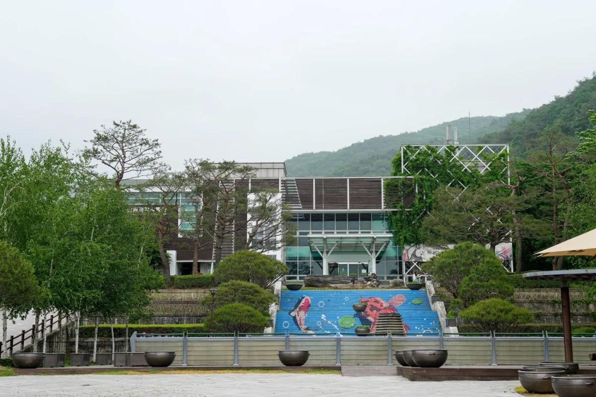 충북 힐링 여행 추천 명소 6곳, 2026 봄에 가기 좋은 곳은?