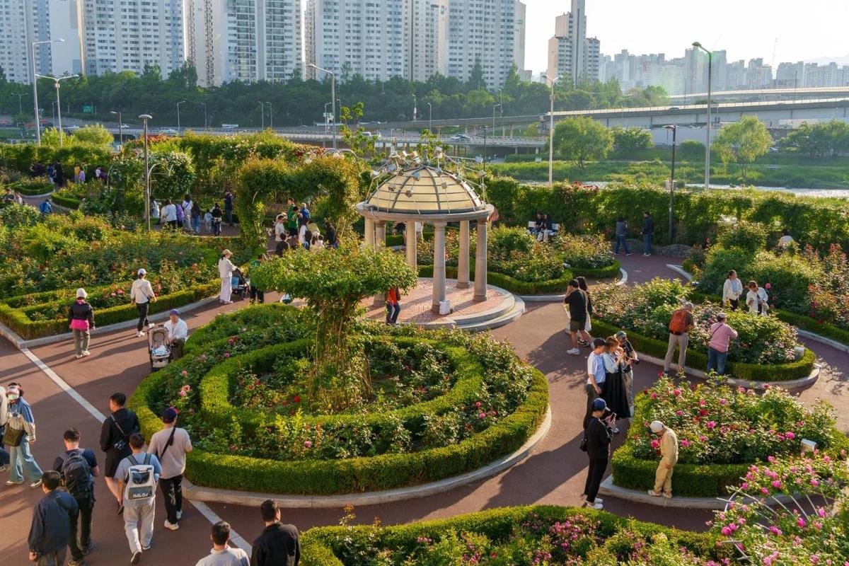 중랑구 밥집 찾으세요? 2026 봄, 중랑 매력 명소 6곳 추천