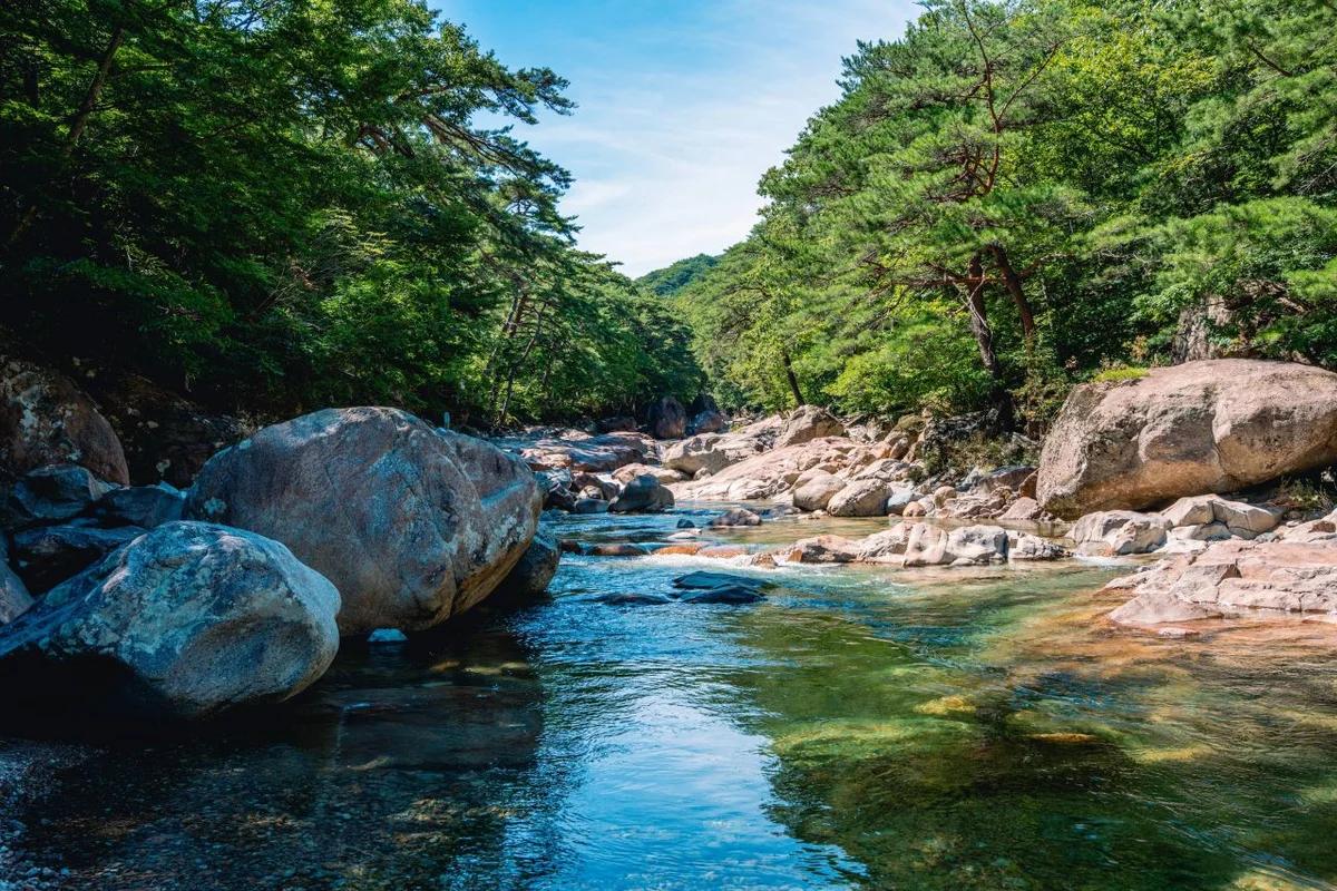 합천 사찰 2026 봄 추천 명소 5곳, 고즈넉한 아름다움을 만나보세요!