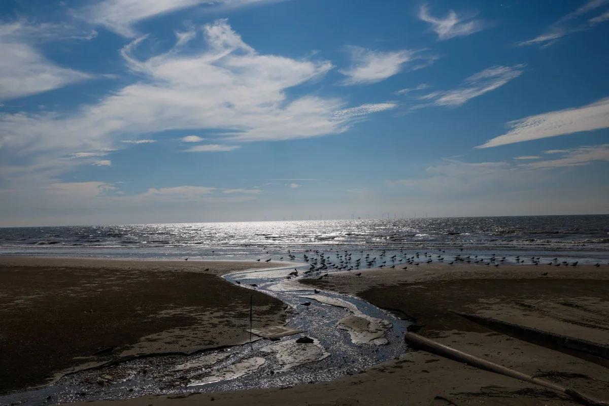 완도군 게스트하우스, 2026 봄 완도 여행을 위한 BEST 6 추천