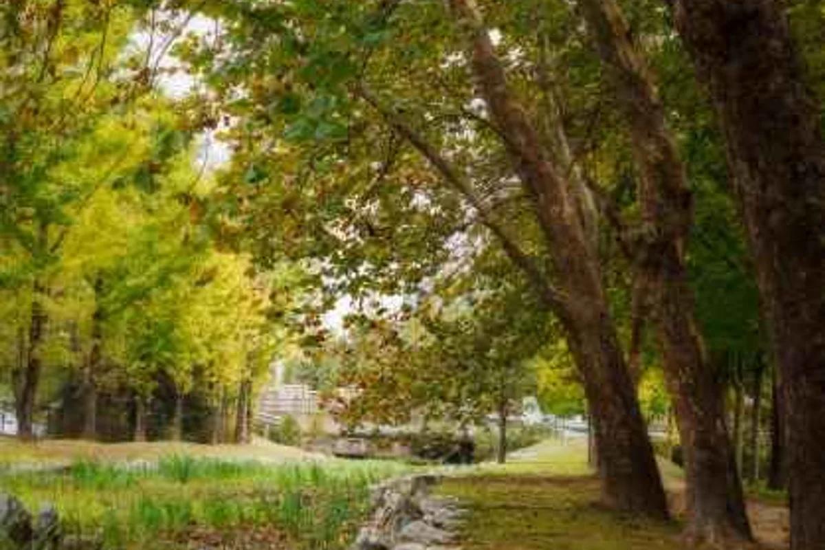 2026 경기 매화 개화 최신 가이드, 이른 봄 맞이 추천 명소