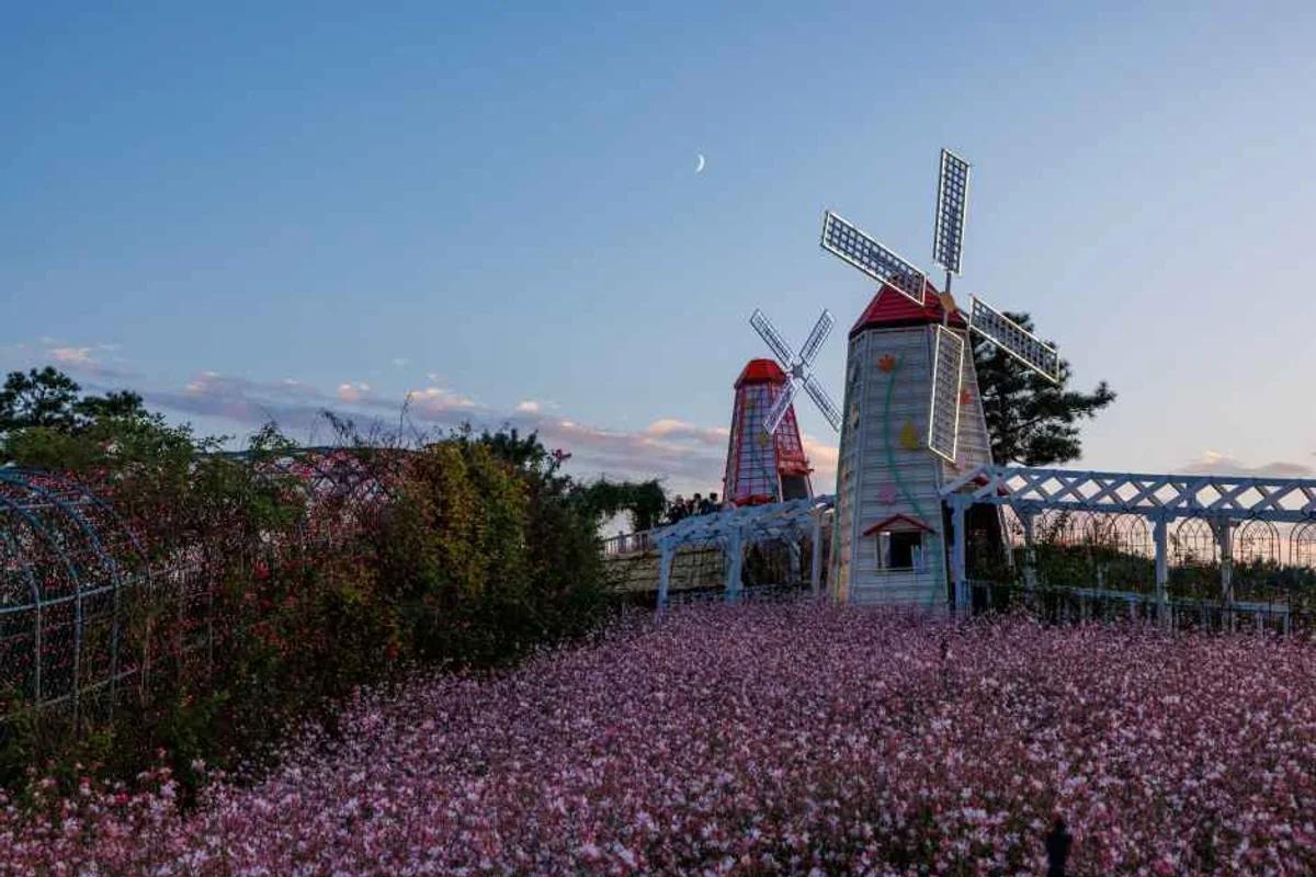 파주출판도시 야경 산책, 2026 봄밤을 수놓을 매력적인 명소 5곳