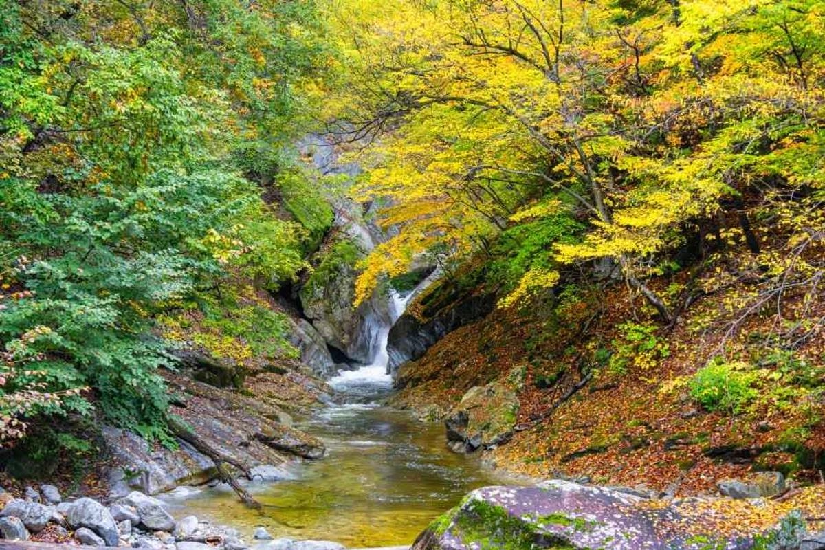 2026 인제군 주말여행 최신 가이드: 꼭 가봐야 할 BEST 6