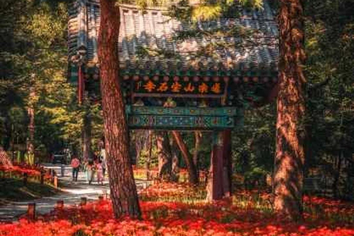 금산군 횟집, 2026년 봄 놓칠 수 없는 신선한 맛과 주변 명소 5곳