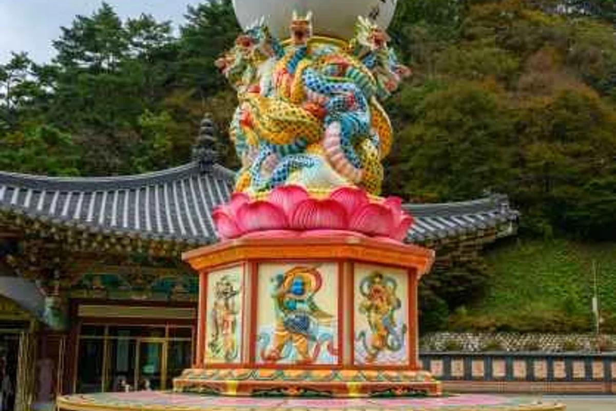 단양 가족 체험, 2026년 봄날 즐기기 좋은 BEST 6