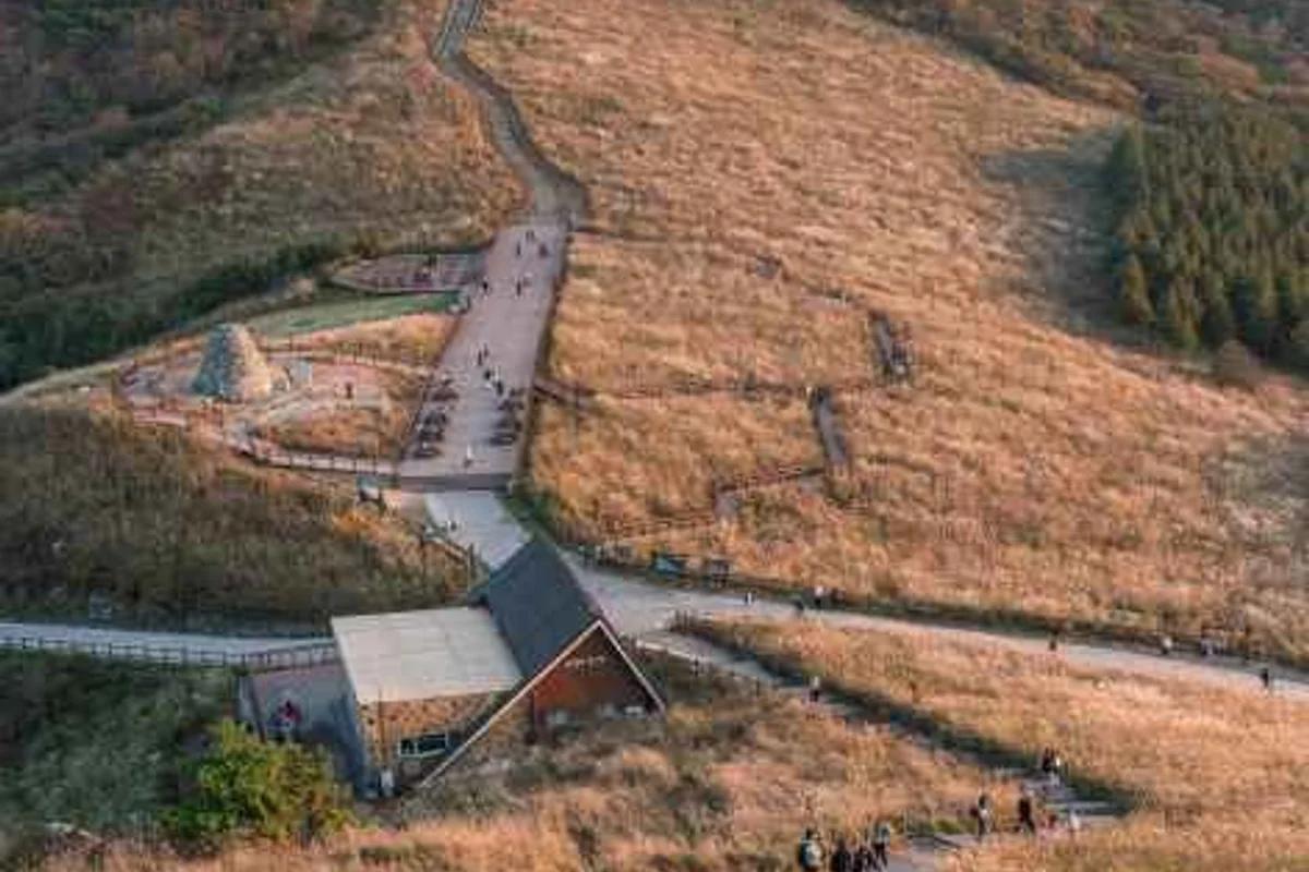 강동구 관광, 2026년 봄에 떠나는 완벽한 힐링 코스 BEST 5