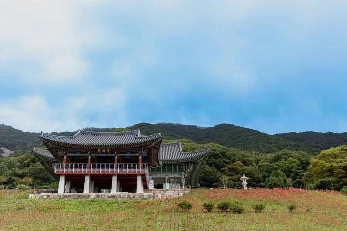 부산 에서 서울 KTX 가격, 2026년 최신 요금과 편안한 여행 팁 총정리