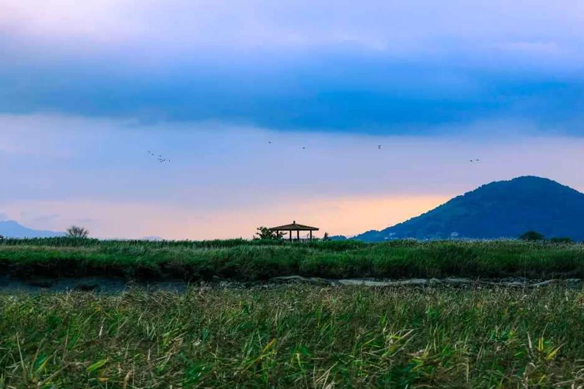 순천만습지 갈만한곳 2026년 봄, 인생샷 남기는 BEST 5 코스