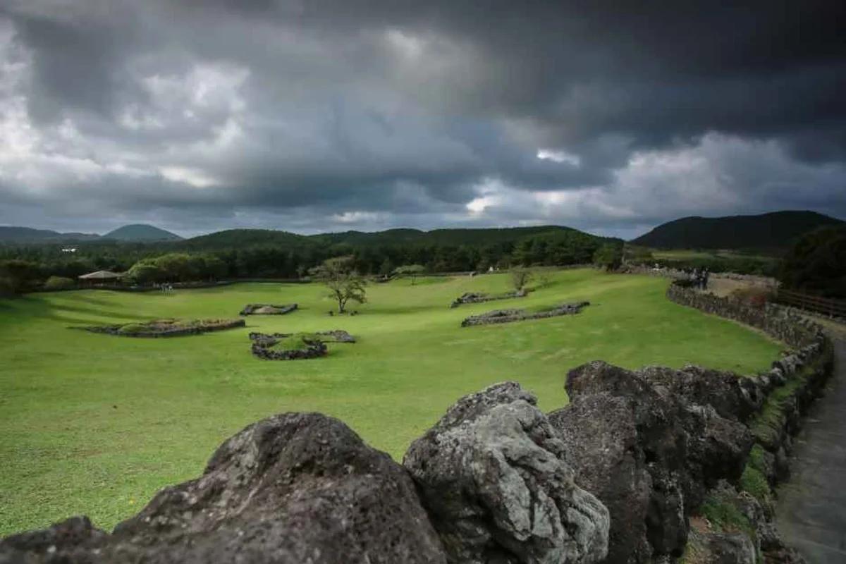 제주시 관광지 2026년 봄, 놓치면 후회할 BEST 5 코스