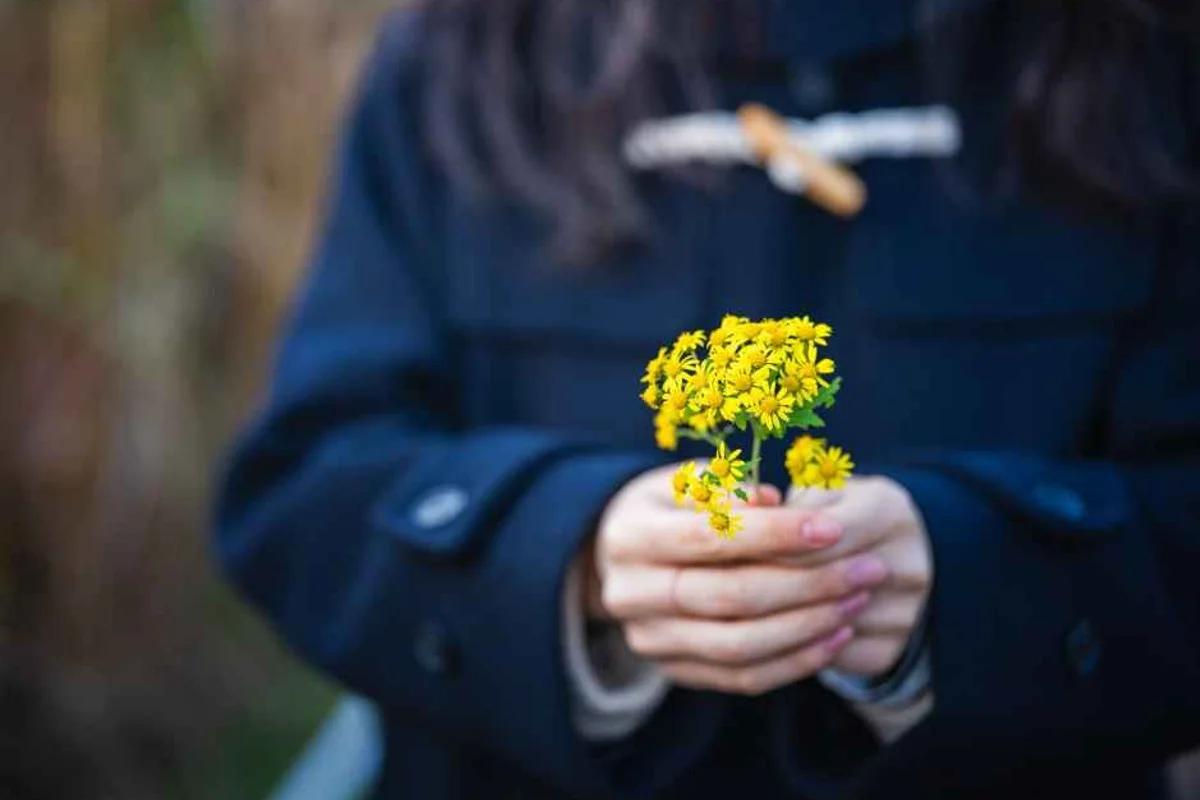 2026 마포구 호텔 추천 BEST 5, 봄날 여행지 완벽 가이드