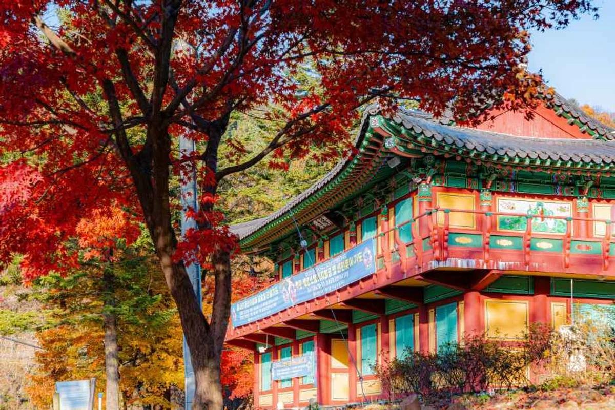 따스한 봄, 2026 남양주시 커플 여행 BEST 5 코스 추천