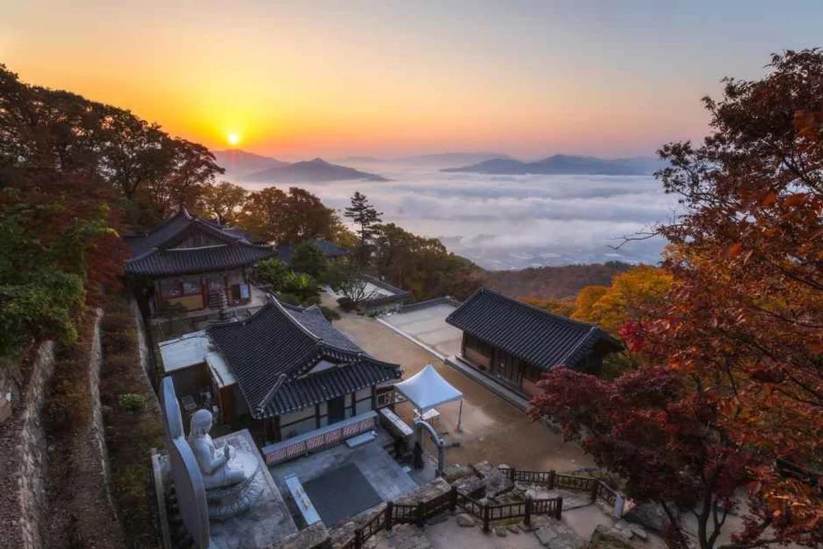 합정 일출 명소, 2026년 봄 아침을 여는 완벽한 장소 5곳