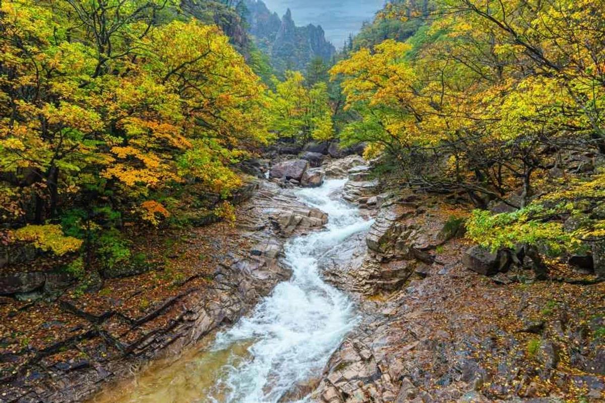 속초 짚라인: 짜릿한 하늘 여행, 2026 베스트 스팟 5