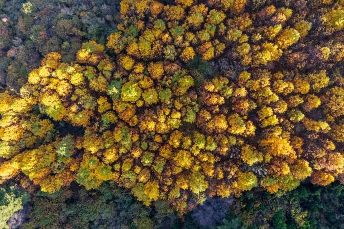 보령시 놀거리 BEST 7, 2026 봄 여행을 위한 완벽 가이드