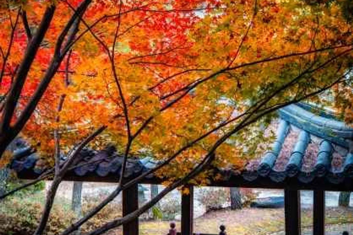 세종 시 모텔 추천 6곳, 2026 봄 여행 완벽 가이드