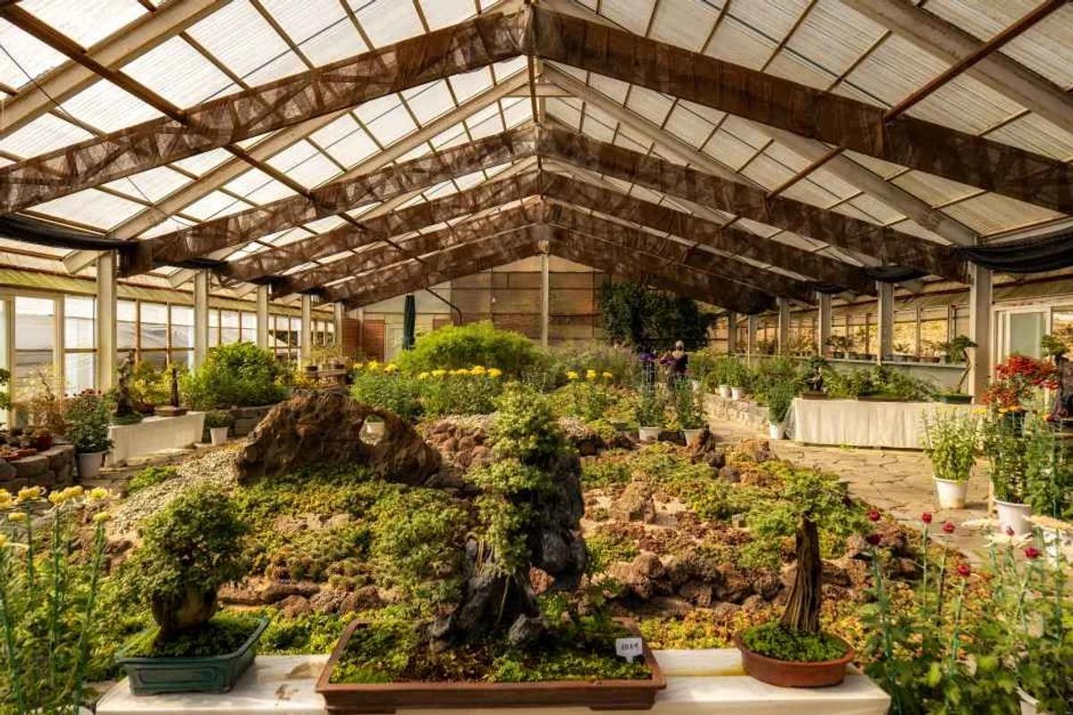 옥천 가족여행 어디가 좋을까? 2026년 봄 추천 코스 5곳