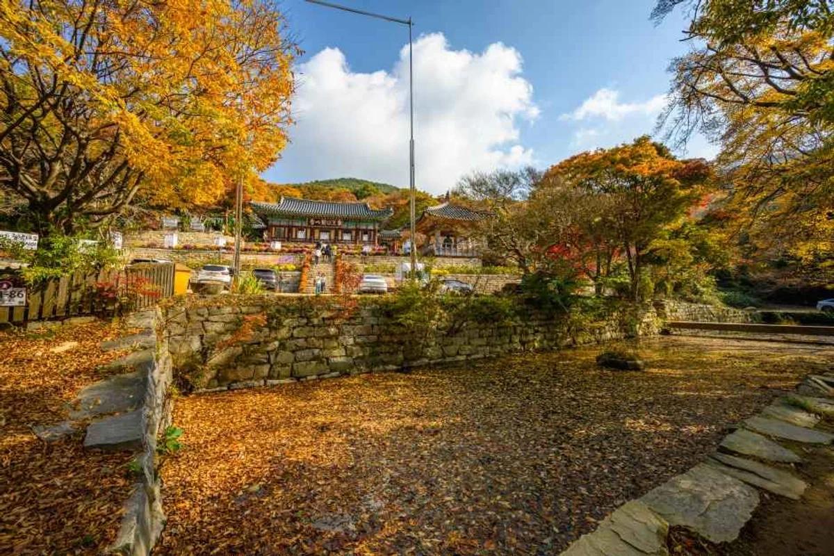 서산시 혼자 여행, 2026 봄 혼자 떠나기 좋은 명소 5곳