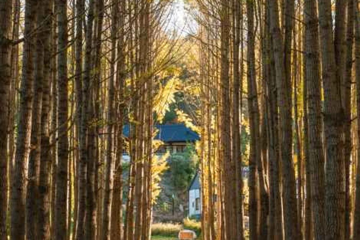 경주 숨은 명소 BEST 5, 2026년 봄 놓치지 마세요!