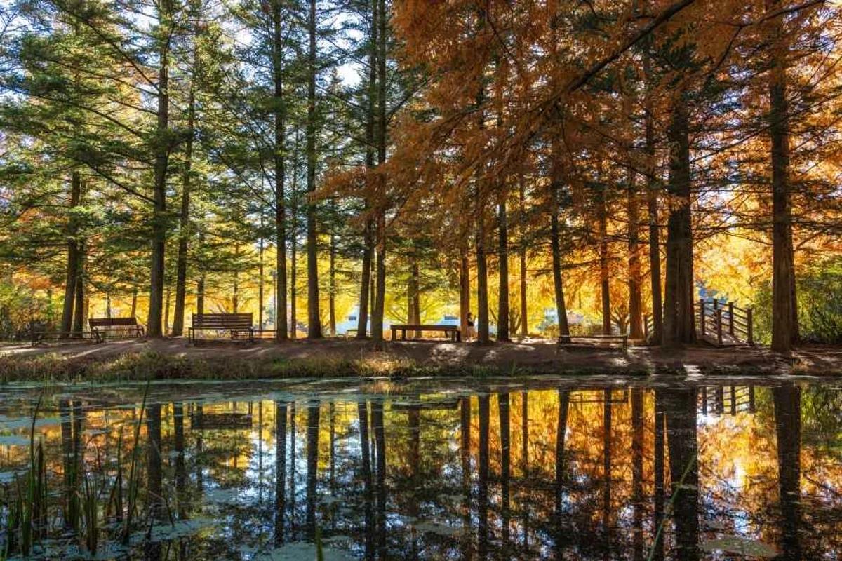 영종도 비 오는 날 실내 추천 5곳, 2026년 최신 여행 가이드