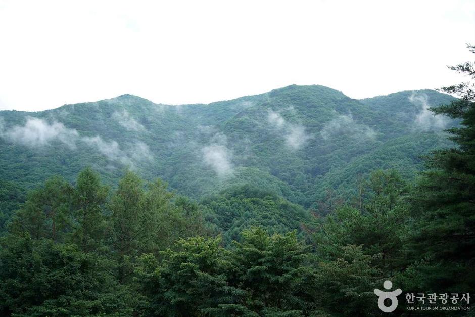선달산(영월)