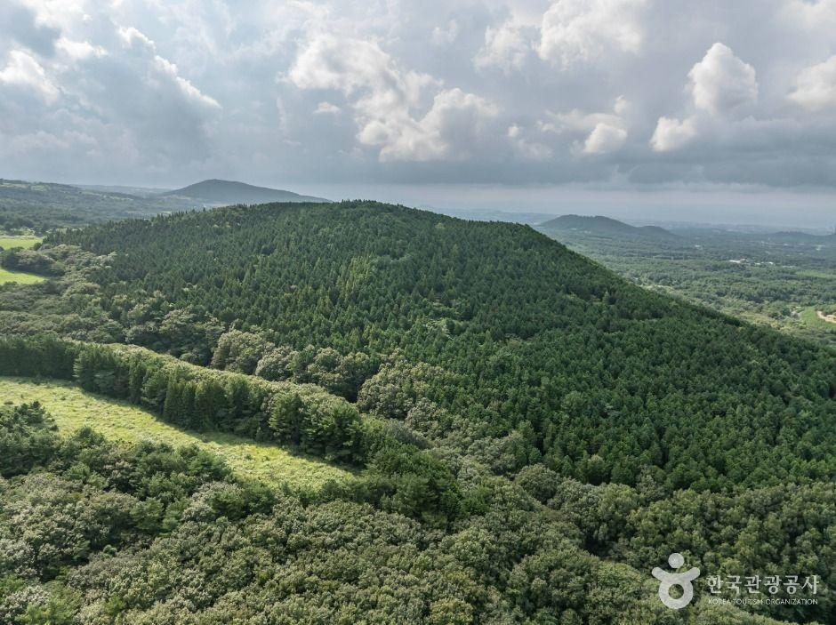 열안지오름(오라동)