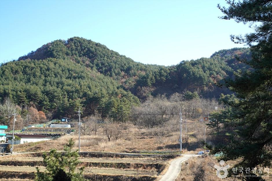 청대산