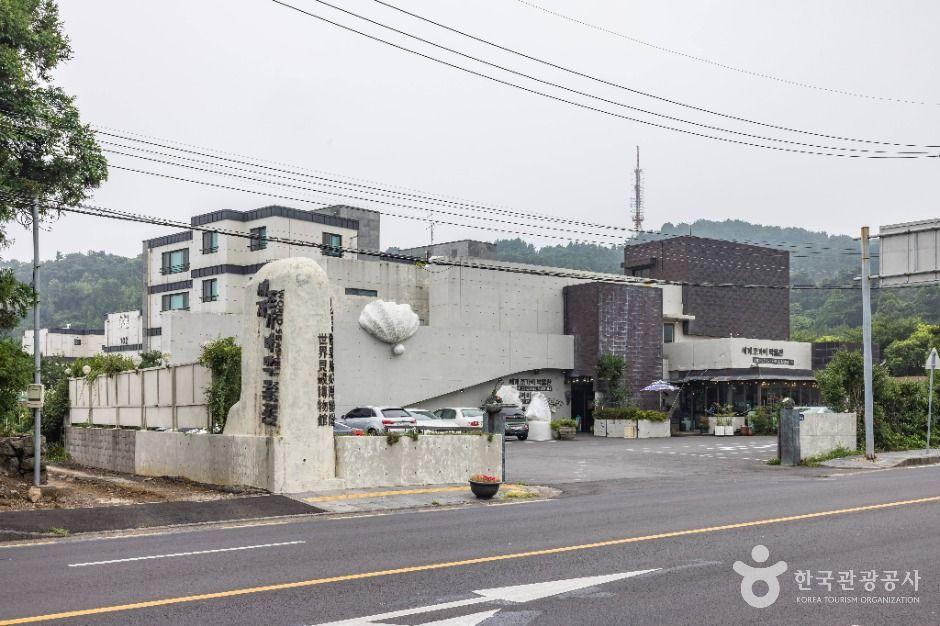 세계조가비박물관