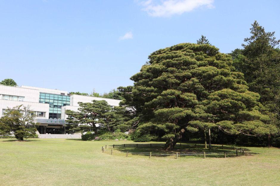 홍릉시험림(홍릉숲)