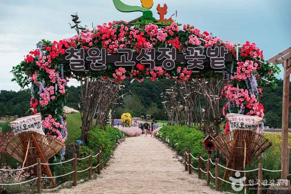 고석정 꽃밭